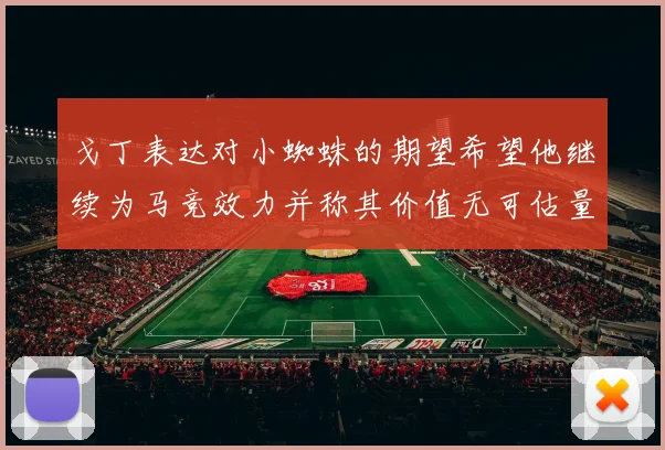 戈丁表达对小蜘蛛的期望希望他继续为马竞效力并称其价值无可估量